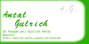 antal gulrich business card